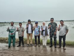 Bulog Sosialisasikan Penyerapan GKP Rp6.500/Kg Jelang Panen Raya di Indramayu