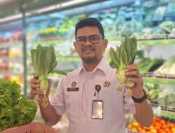 Sayuran Hidroponik Lapas Indramayu Semakin Digemari Masyarakat. Kini Tersedia Di 2 Yogya Toserba Wilayah Indramayu