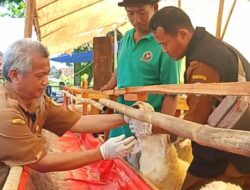 DKPP Indramayu Gelar Cek Kesehatan dan Bazar Ternak Kurban