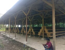 Warga Pertanyakan Program Kandang Ayam Rp287 Juta di Desa Wanakaya, Pemdes Minta Penjelasan BUMDes