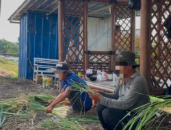 Panen 40 Kg Serai, Lapas Indramayu Optimalkan Pembinaan Kemandirian Warga Binaan
