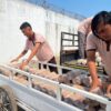 Lapas Indramayu Bekali Warga Binaan Keterampilan Budidaya Jamur Tiram