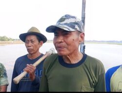 Petani Akui Diuntungkan, Gabah Langsung Diserap Bulog dengan Harga Rp6.500 per Kilogram