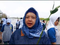 Hari Mangrove Sedunia, 11 Ribu Bibit Mangrove Ditanam untuk Cegah Abrasi di Pesisir Indramayu