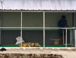 Lapas Indramayu Kembangkan Peternakan Entog, 100 Bibit Disiapkan untuk Pembinaan Warga Binaan ‎