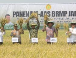 Dandim 0616/Indramayu Hadiri Panen Perdana PM-AAS di Terisi