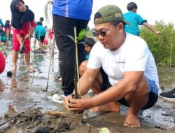 Paguyuban Pantai Kasih Karangsong Dukung Penuh Penanaman Mangrove di Hari Mangrove Sedunia